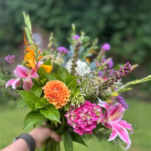 Summer Brights