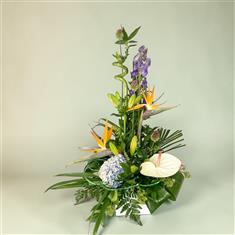 Tropical architectural arrangement