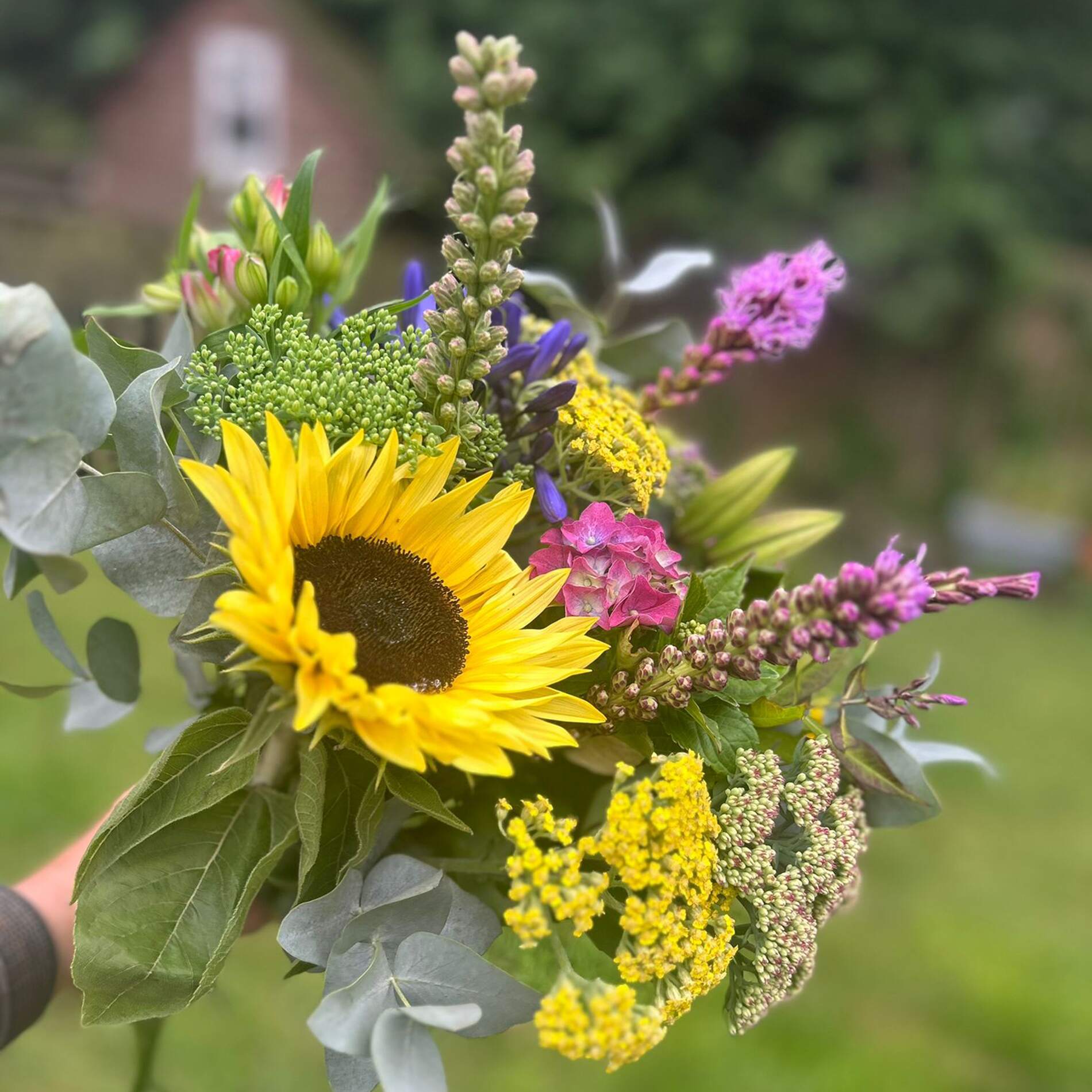 Sarah's Flower Farm and Florist flower farming in Sheffield