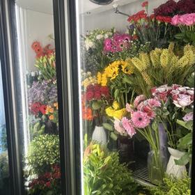 fwthumbFreshFlowersFridge.jpg